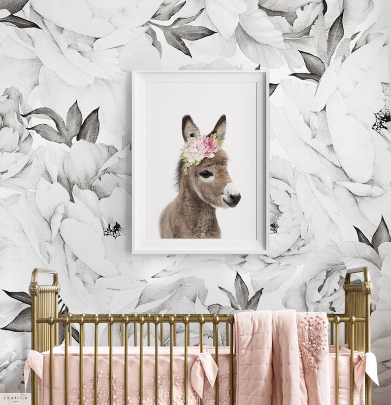 Baby Donkey Wall Art Print Nursery Decor Farm Animal With Etsy