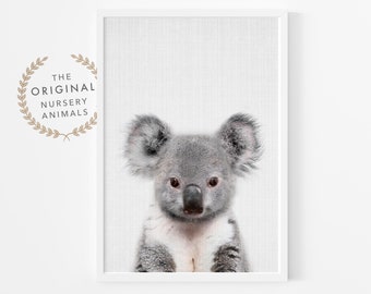 Baby Koala Print: Australian Animal Nursery Wall Art