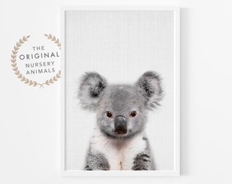 Koala print, Australian animal print, Koala art, nursery wall art, printable nursery art, baby animal photography, Peekaboo