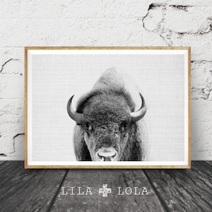 Buffalo Print, Bison Wall Art, Landscape, Horizontal, Nursery Decor Kids Room Poster, Black and White Minimalist, Printable Digital Download