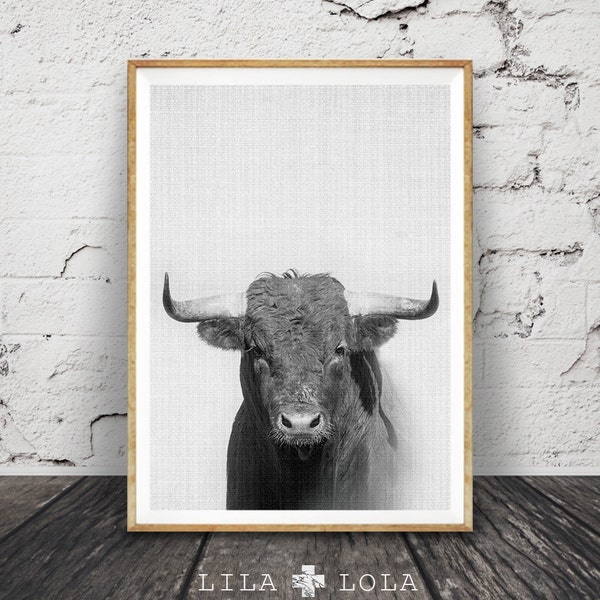 In White And Black Horn Etsy in-white-and-black-horn-etsy