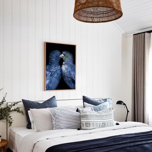 May include: A framed art print featuring two blue parrots with detailed feather textures, set against a black background. The artwork is displayed above a bed with various pillows and a dark blue blanket. The room has white walls and a woven pendant light.