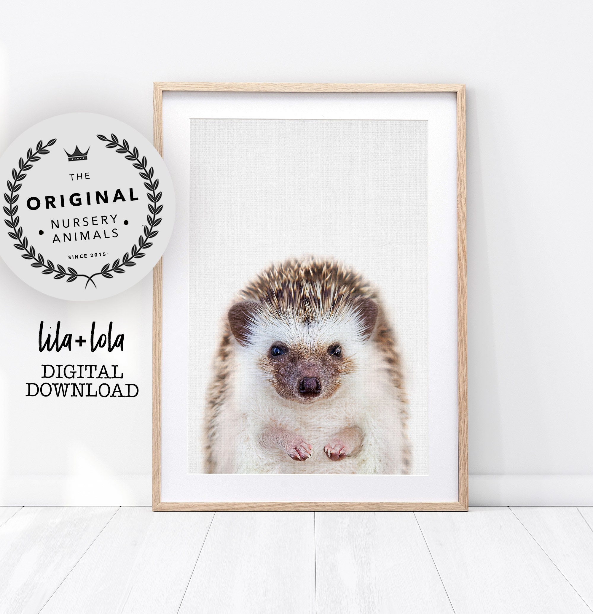 Hedgehog animal nursery art print babies and kids cute illustrated