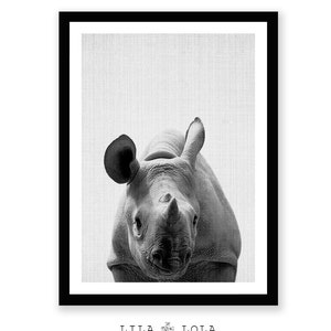 May include: Black and white photograph of a rhinoceros calf looking directly at the camera. The rhinoceros is in focus, while the background is blurred.