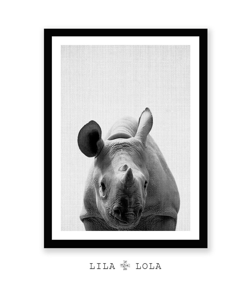 May include: Black and white photograph of a rhinoceros calf looking directly at the camera. The rhinoceros is in focus, while the background is blurred.