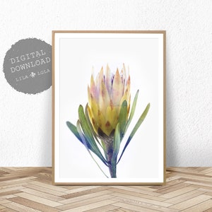 Protea Print, Australian Native Flower Wall Art, Printable Poster, Digital Download, Photography, Yellow Flower Decor, Botanical Print