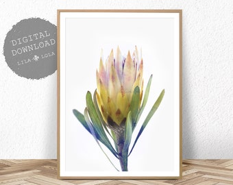 Protea Print, Australian Native Flower Wall Art, Printable Poster, Digital Download, Photography, Yellow Flower Decor, Botanical Print