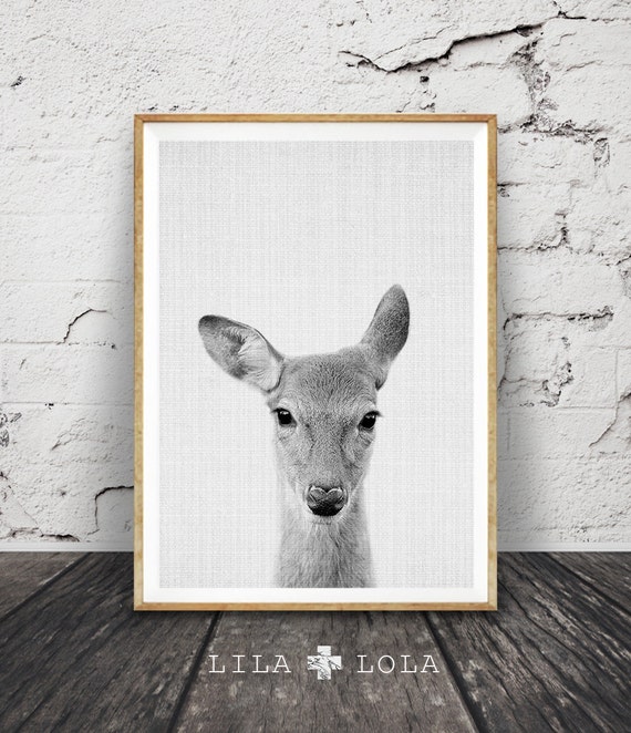 Deer Doe Wall Art Print, Woodlands Nursery Decor, Black and White Animal Photo, Modern Minimalist, Large Printable Poster, Digital Download