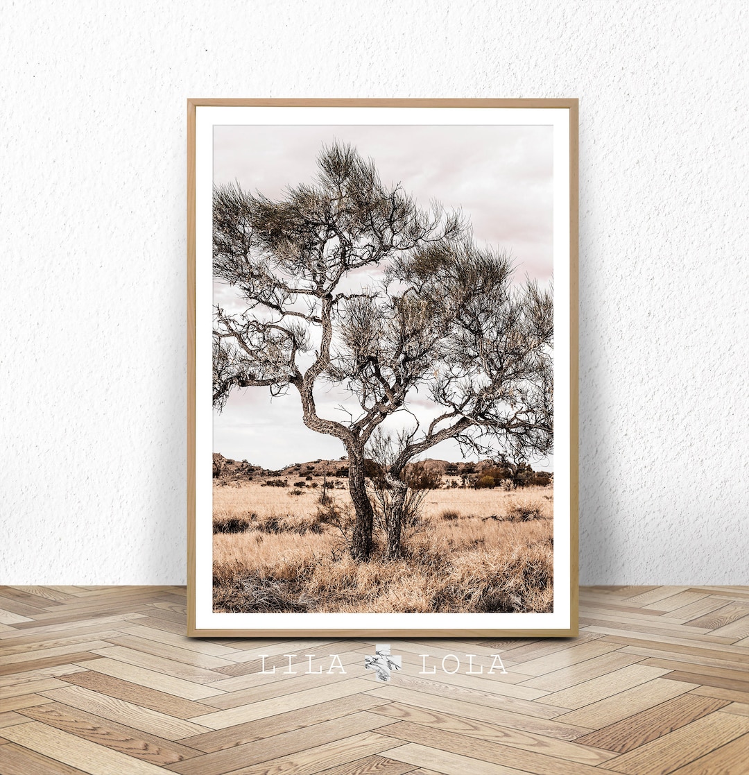 Australian Outback Landscape, Wall Art Print, Desert Tree Photography