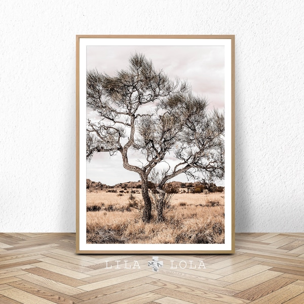 Boomfotografie Australische outback: muurkunst woestijnlandschap (digitale download)