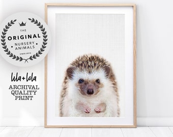 Hedgehog Print, Printed and Shipped, Various Sizes, Baby Woodland Animal Photo, Nursery Wall Art