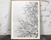 Winter Wonderland Decor, Tree Branches Print, Snow Nursery Print, Wall Art Decor, Modern Photography, Tree, Grey White, Woodlands