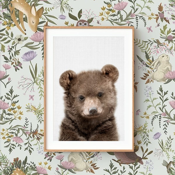 Pode incluir: Uma impressão emoldurada de um filhote de urso marrom em um fundo branco. O filhote de urso está olhando diretamente para a câmera. A moldura é de madeira clara.
