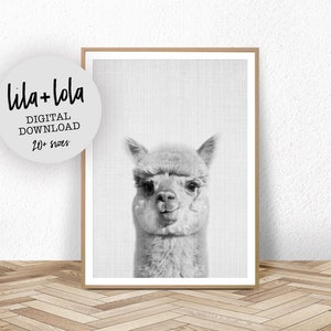 Alpaca Print, Llama Wall Art, Printable Wall Art, Nursery Decor, Digital Download, Nursery Animal Print, Black and White Poster, Baby Room