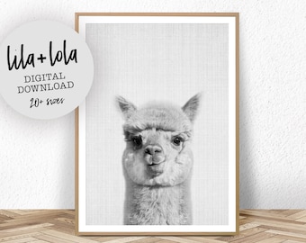 Alpaca Print, Llama Wall Art, Printable Wall Art, Nursery Decor, Digital Download, Nursery Animal Print, Black and White Poster, Baby Room