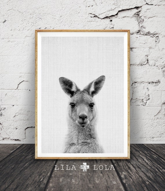 Kangaroo Print, Australian Animal Wall Art, Nursery Decor Black and White, Printable Kids Room Large Poster, Digital Download, Australiana