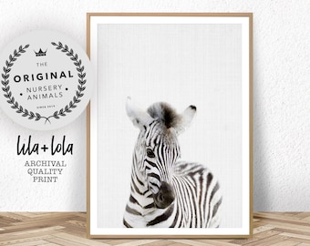 Safari Nursery Wall Art, Baby Zebra Animal Print, Baby Room Decor, Large Poster, African Animal, Kids Room Print