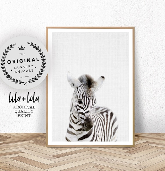 Safari Nursery Wall Art, Baby Zebra Animal Print, Baby Room Decor, Large Poster, African Animal, Kids Room Print