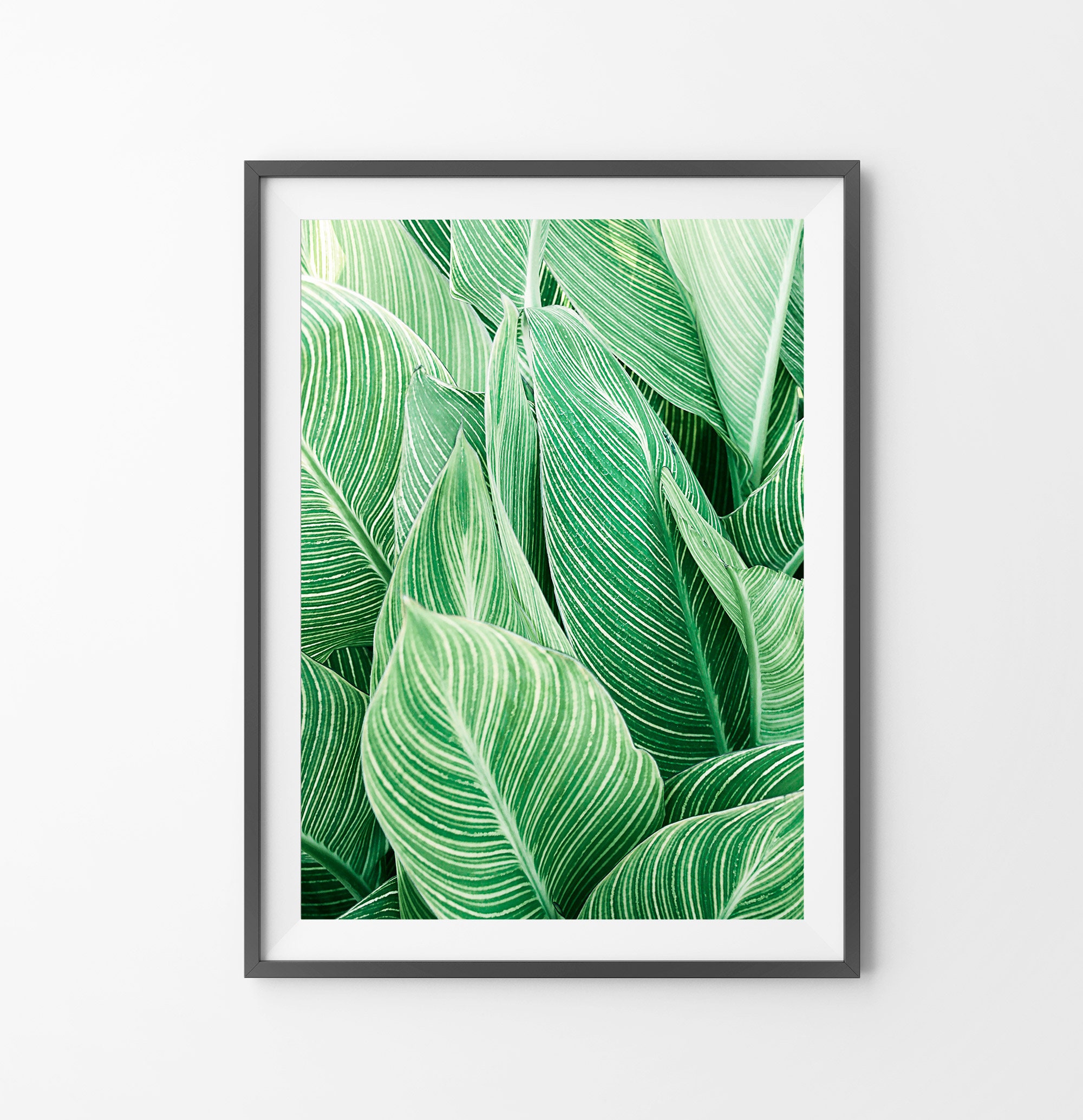 Tropical Plant Wall Art, Leaf Print, Printable Digital Download, Large