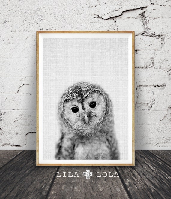 Owl Photo Print: Black and White Animal Art (Digital Download)
