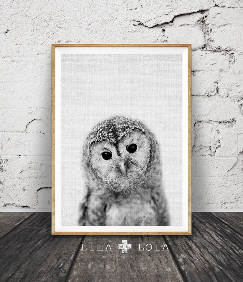 May include: Black and white photograph of an owl with large, round eyes. The owl is looking directly at the camera. The image is printed on a textured canvas and framed in a light wood frame.
