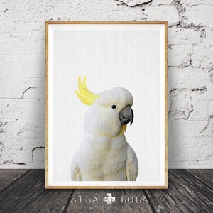 Impresión de cacatúa, pájaro australiano, arte mural fotográfico de animales, fotografía en color, descarga digital imprimible, póster grande, minimalista moderno