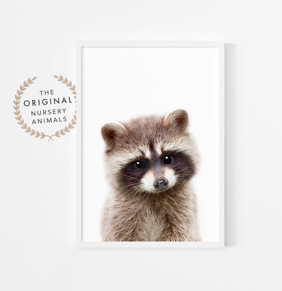 Raccoon Wall Art, Woodland Nursery Decor, Nursery Animal Print, Instant Printable Download, Gender Neutral Kids Room Poster