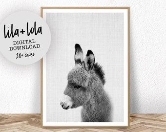 Donkey Print, Nursery Animal Wall Art, Baby Shower Gift, Kids Room Poster, Printable Digital Download, Cute Baby Nursery Donkey Wall Art