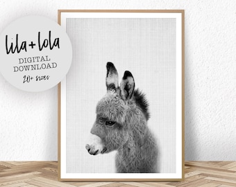 Baby Donkey Print, Nursery Animal Wall Art (Digital Download)