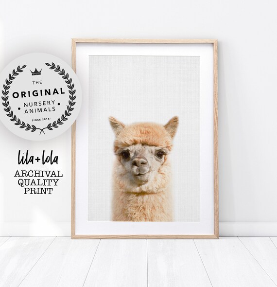 Alpaca art print Alpaca wall print Llama nursery decor,Llama wall print, Alpaca art print Alpaca wall print Llama nursery decor,Llama wall print,