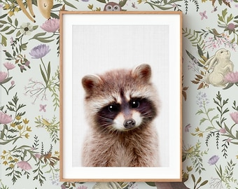 Baby Raccoon Wall Art Print ~ Woodland Animal Nursery Decor ~ Printed and Shipped ~ Grey Background