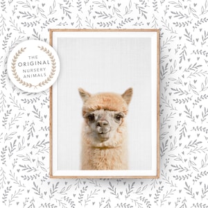 Alpaca Print, Llama Wall Art Printed and Shipped Poster Nursery Farm Animal, Farmhouse Decor, Colourful Baby Room Alpaca image 1