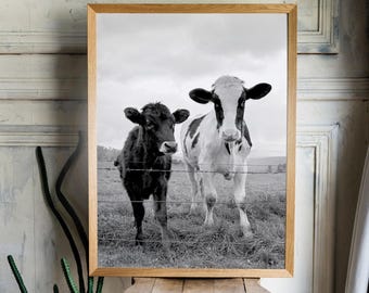 Black and White Cow Photo: Rustic Farmhouse Wall Art (Digital Download)