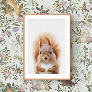 Squirrel Wall Art Print ~ Woodland Animal Nursery Decor ~ Printable Digital Download ~ Grey Background