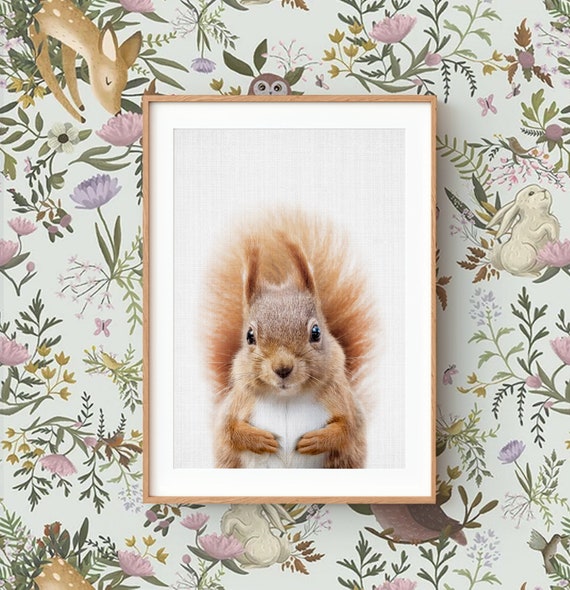 Squirrel Wall Art Print ~ Woodland Animal Nursery Decor ~ Printable Digital Download ~ Grey Background