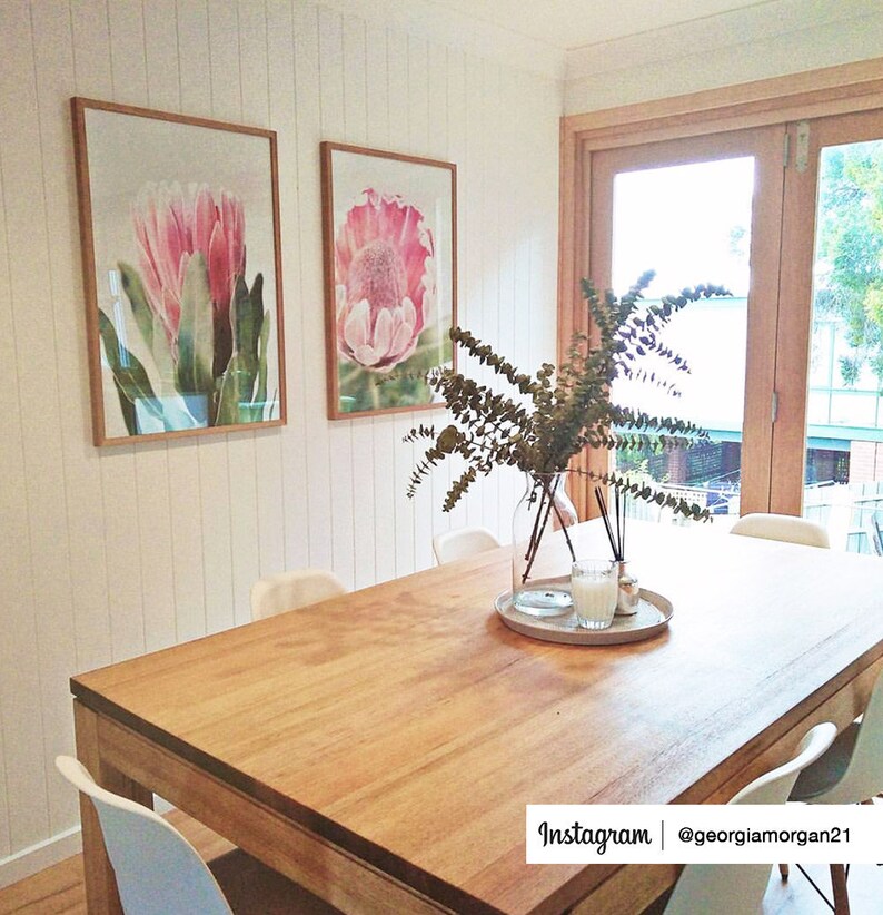 Large Wall Art Poster Australian Protea Protea Native Flower Photography Shipped Pri Printed Poster Botanical Australian Native Print