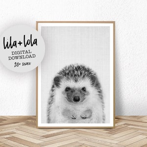 Hedgehog Print, Woodland Forest Decor, Nursery Printable Wall Art, Black and White, Large Baby Room Poster Digital Download