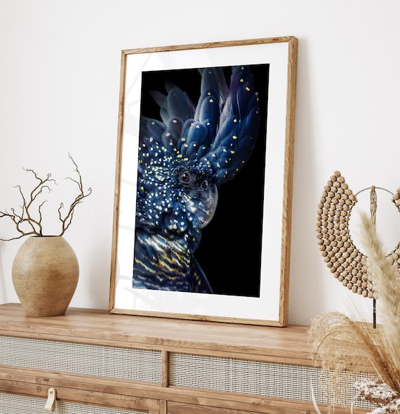 Black Cockatoo Art Print: Australian Bird Photography (Digital Download)