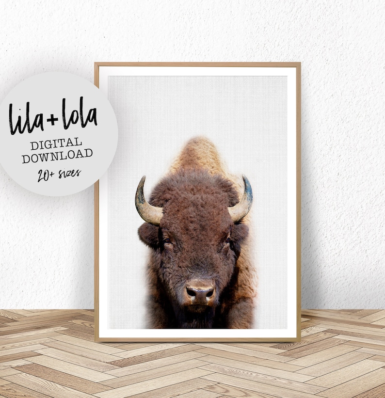 Buffalo Print, Bison Photo, Printable Poster, Instant Digital Download, Boys Room Decor, Nursery Animal, Modern Minimalist, Photography image 1