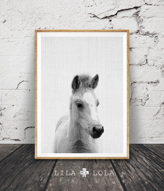 Cute Baby Horse, Foal Print, Nursery Decor, Black White and Gray Animal, Printable Instant Digital Download, Modern Minimal Kids Room Poster