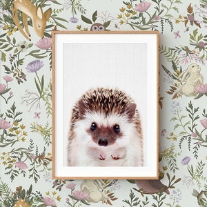 Baby Hedgehog Wall Art Print ~ Woodland Animal Nursery Decor ~ Printable Digital Download ~ Grey Background