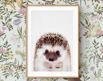 Baby Hedgehog Wall Art Print ~ Woodland Animal Nursery Decor ~ Printable Digital Download ~ Grey Background