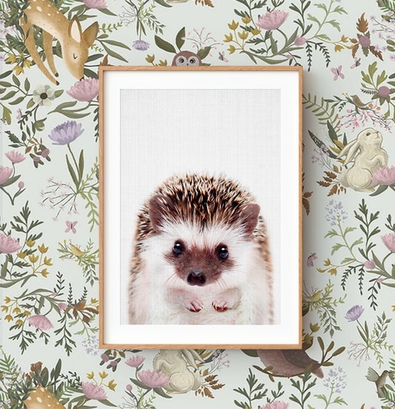 Baby Hedgehog Wall Art Print ~ Woodland Animal Nursery Decor ~ Printable Digital Download ~ Grey Background