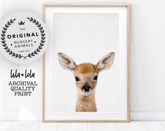 Deer Print, Woodland Nursery Animal Decor, Large Wall Art, Digital Download, Baby Room Picture, Kids Room Poster, Instant Printable, Fawn