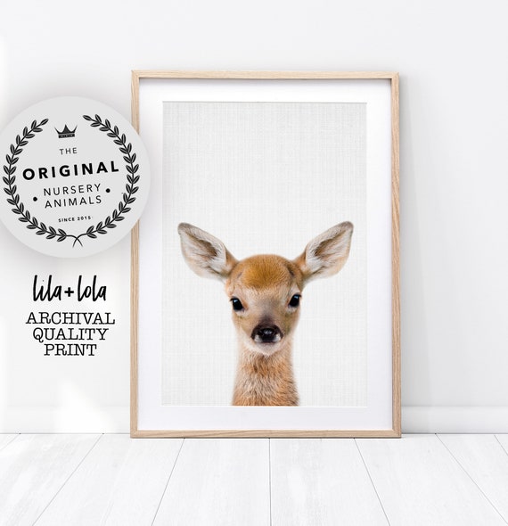 Deer Fawn Print - Printed and Shipped