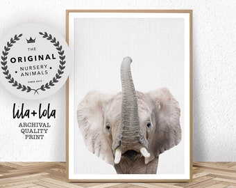 Nursery Wall Art, Baby Animal Prints, Elephant, Safari Decor, Kids Room Wall Decor Safari Poster, Large Wall Art, Bedroom Print