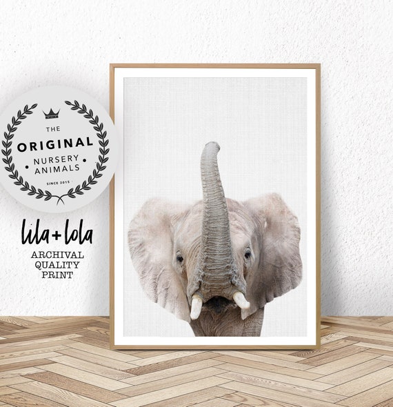 Nursery Wall Art, Baby Animal Prints, Elephant, Safari Decor, Kids Room Wall Decor Safari Poster, Large Wall Art, Bedroom Print