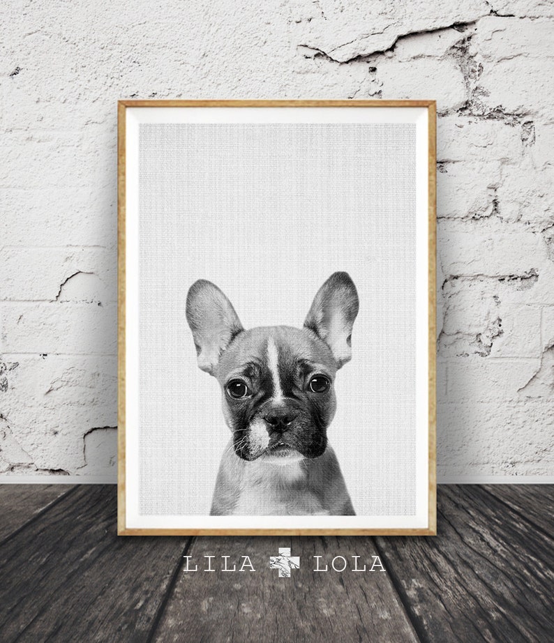 French Bulldog Wall Art Print Guys and Mens Gift Black and Etsy UK