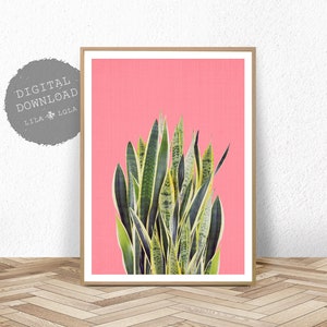 Cactus Wall Art Print, Printable Digital Download, Pink, Mexican Poster, Modern Decor, Botanical Succulent, Mother in Law Tongue, Cactus Art