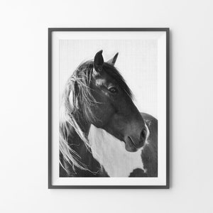 Horse Print, Photography Black and White Wall Art, Digital Download, Printable Horse Art, Black and White Horse Photo, Large Wall Art Print image 6